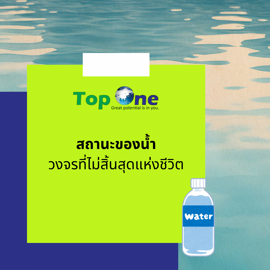 สถานะของน้ำ: วงจรที่ไม่สิ้นสุดแห่งชีวิต