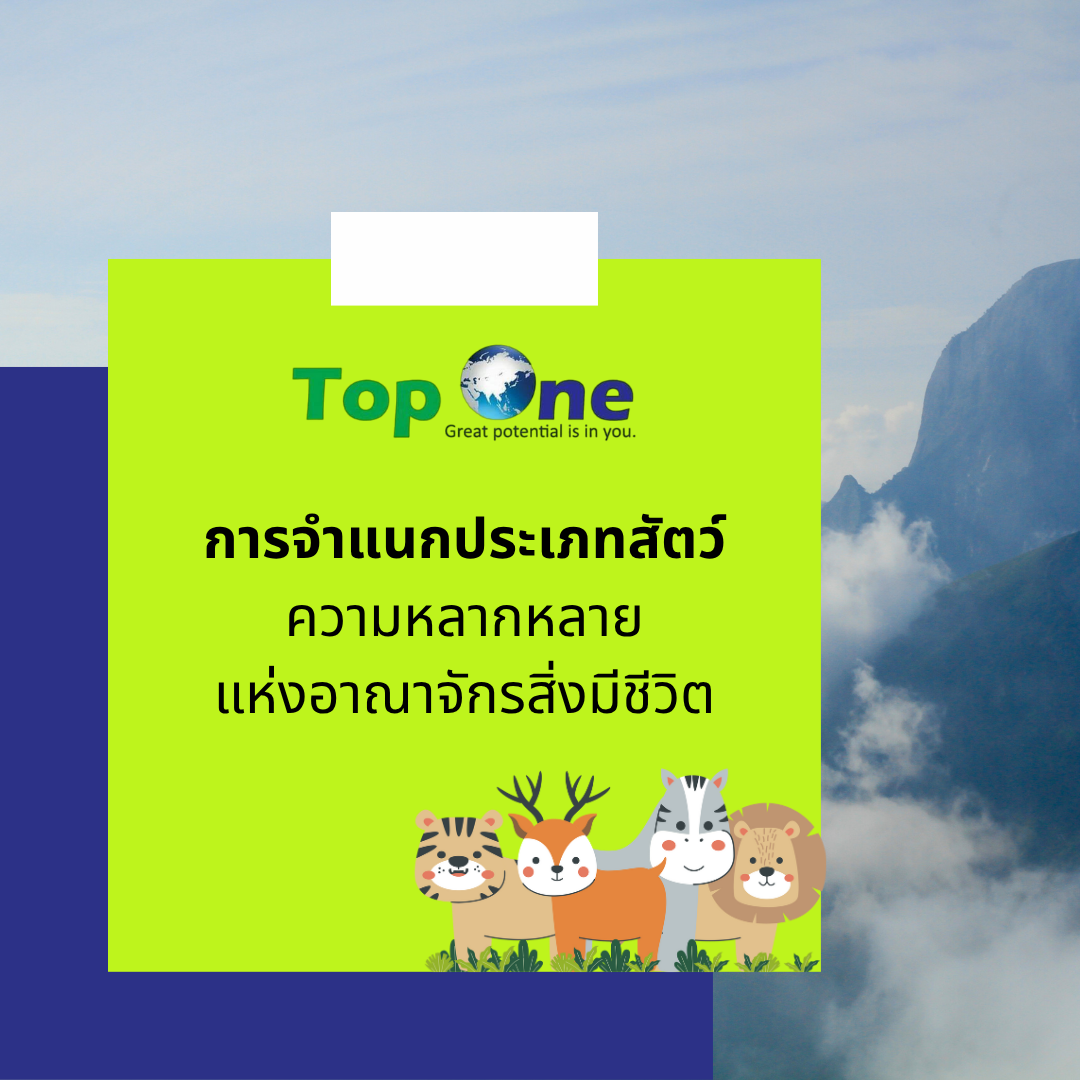 การจำแนกประเภทสัตว์: ความหลากหลายแห่งอาณาจักรสิ่งมีชีวิต