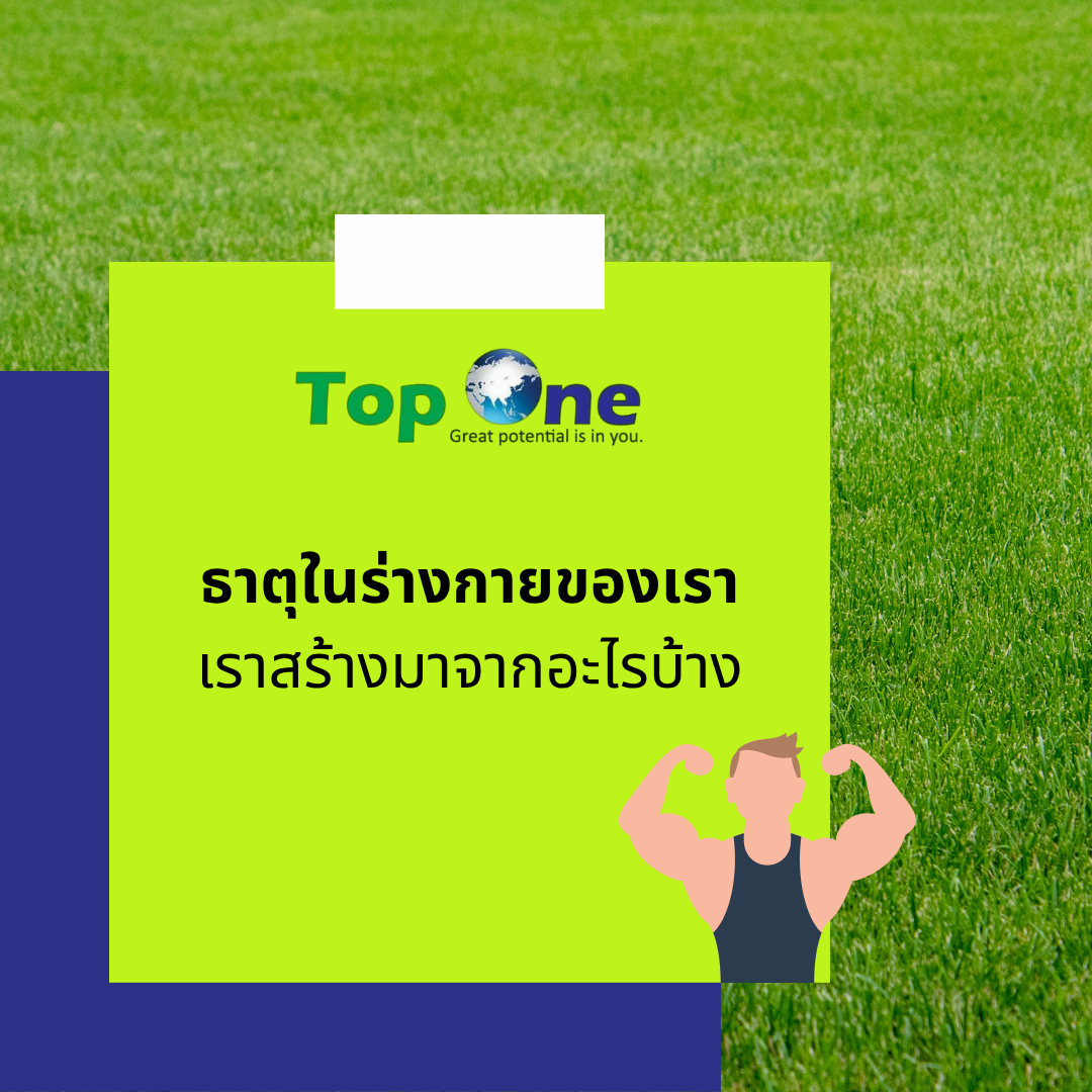 ธาตุในร่างกายของเรา: เราสร้างมาจากอะไรบ้าง