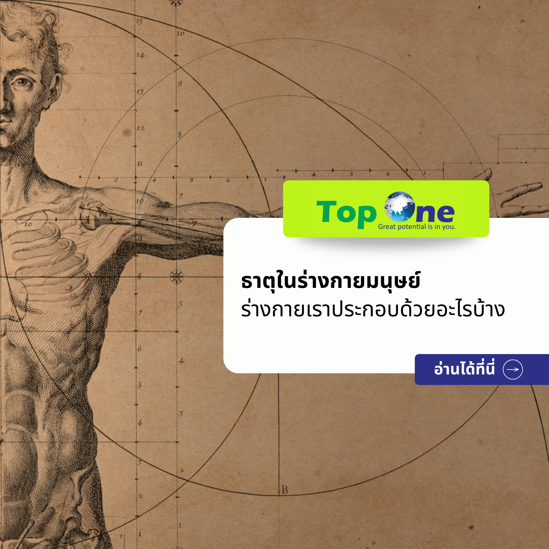 “ธาตุในร่างกายมนุษย์”: ร่างกายเราประกอบด้วยอะไรบ้าง