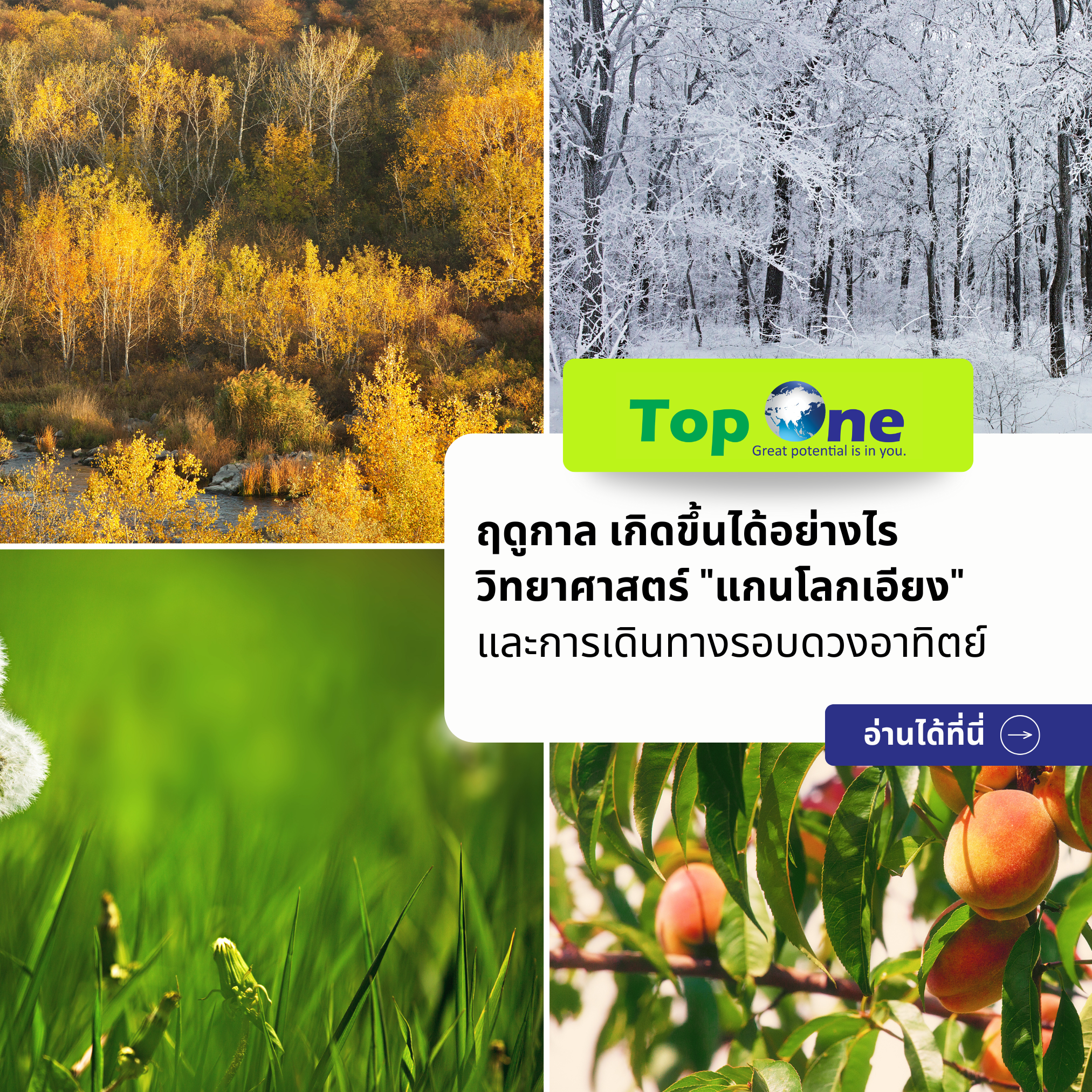 ฤดูกาลเกิดขึ้นได้อย่างไร ไขความลับวิทยาศาสตร์เรื่อง “แกนโลกเอียง” และการเดินทางรอบดวงอาทิตย์