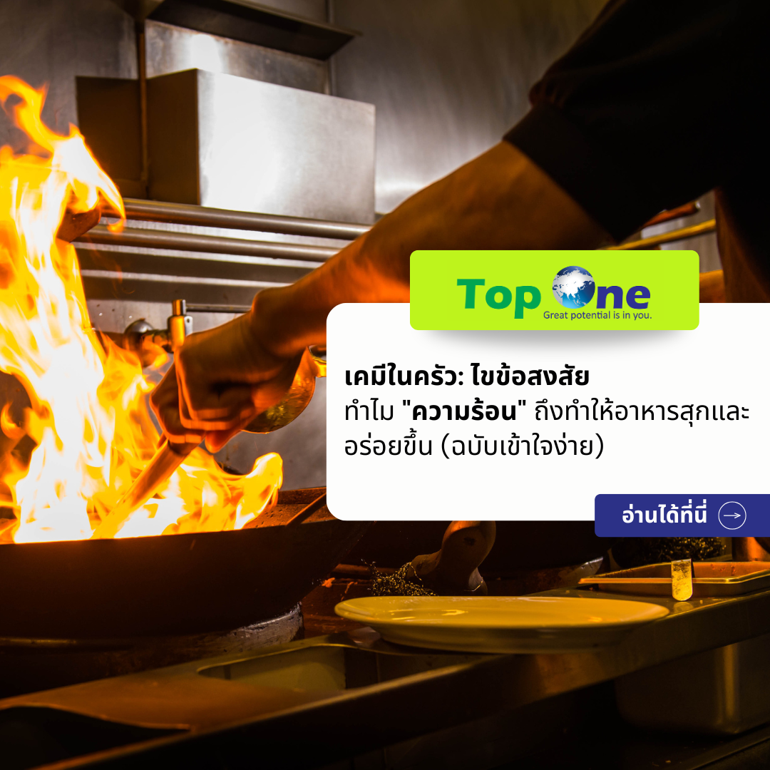 เคมีในครัว: ไขข้อสงสัย ทำไม “ความร้อน” ถึงทำให้อาหารสุกและอร่อยขึ้น (ฉบับเข้าใจง่าย)