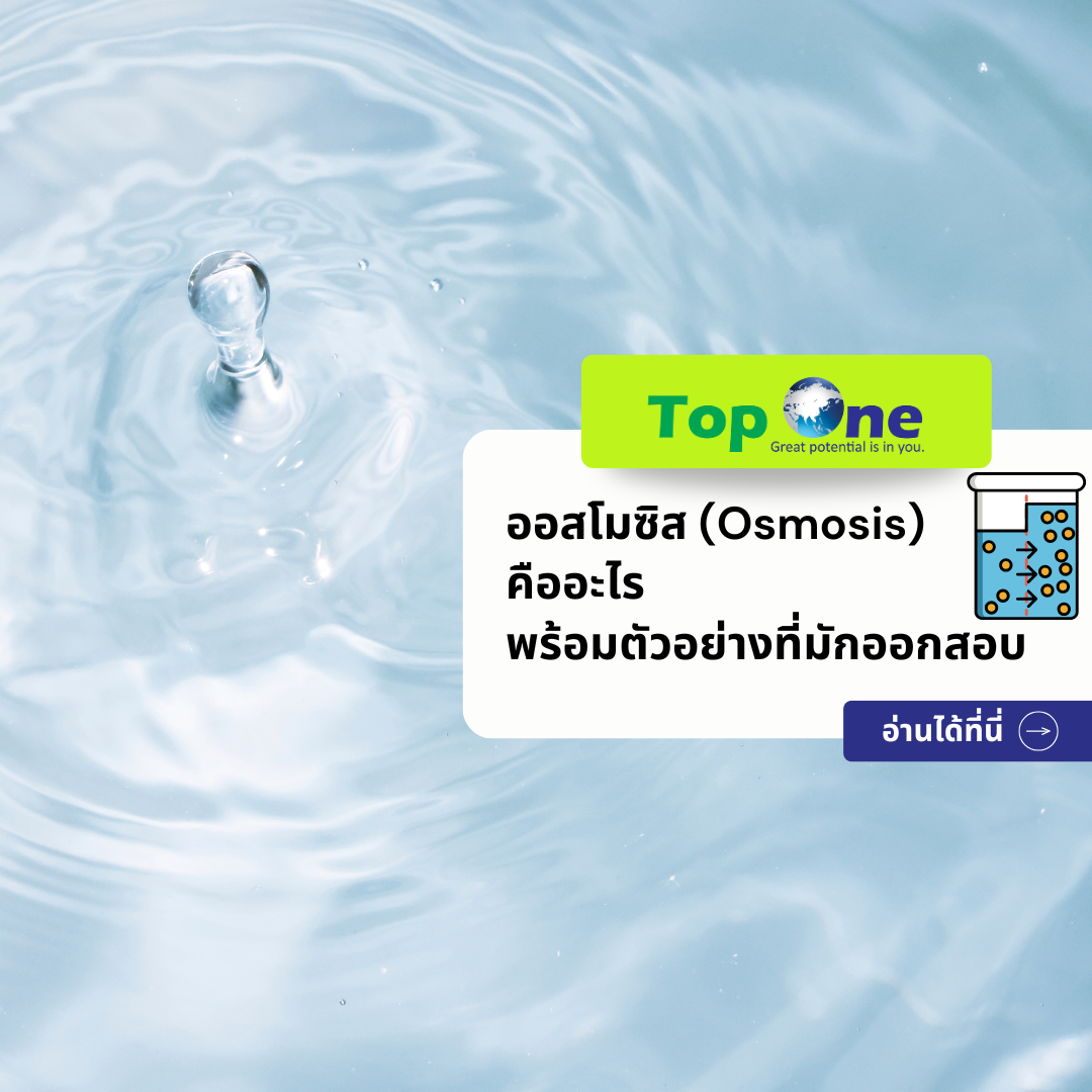 สรุปครบจบในบทความเดียว: ออสโมซิส (Osmosis) คืออะไร พร้อมตัวอย่างที่มักออกสอบ