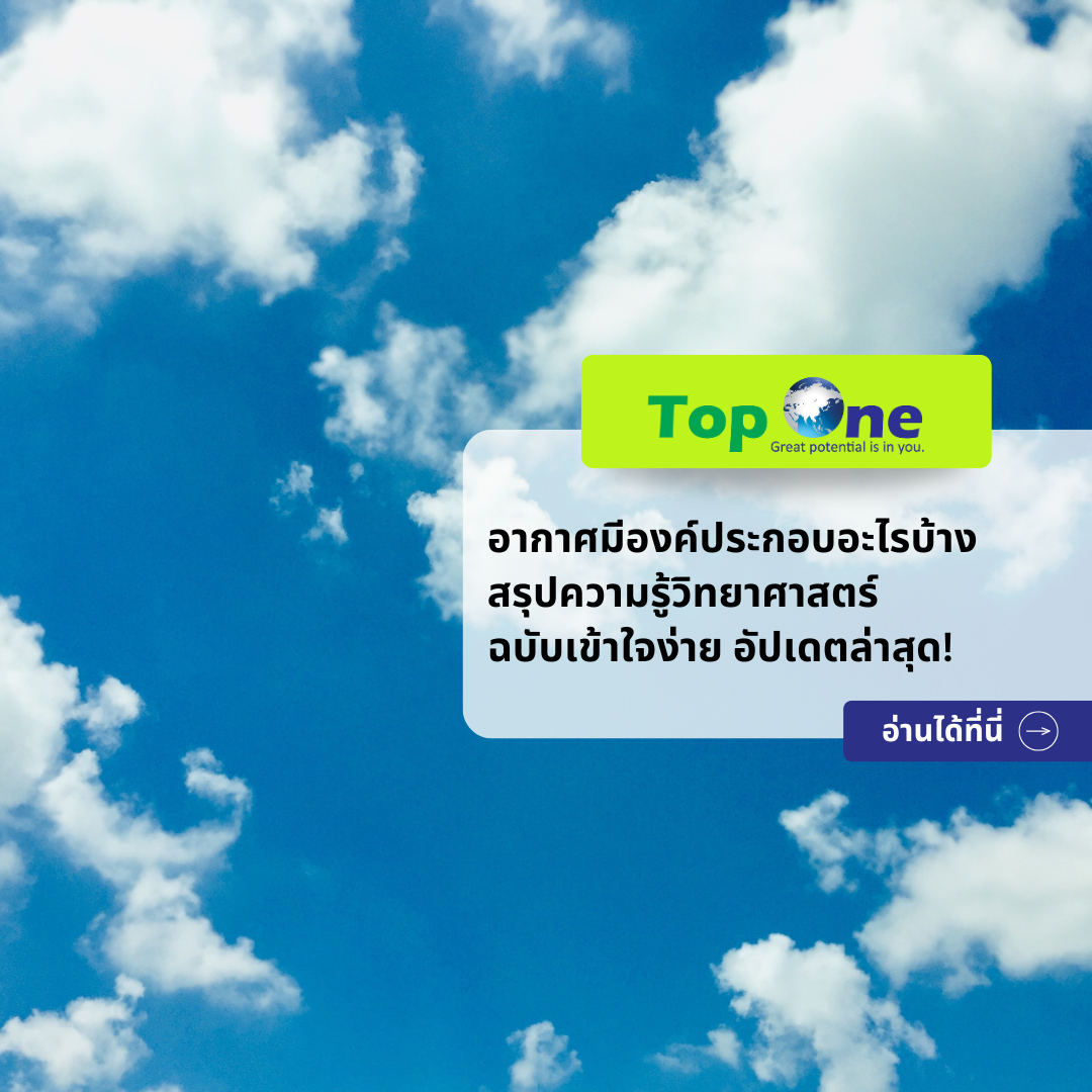อากาศมีองค์ประกอบอะไรบ้าง สรุปความรู้วิทยาศาสตร์ ฉบับเข้าใจง่าย อัปเดตล่าสุด!