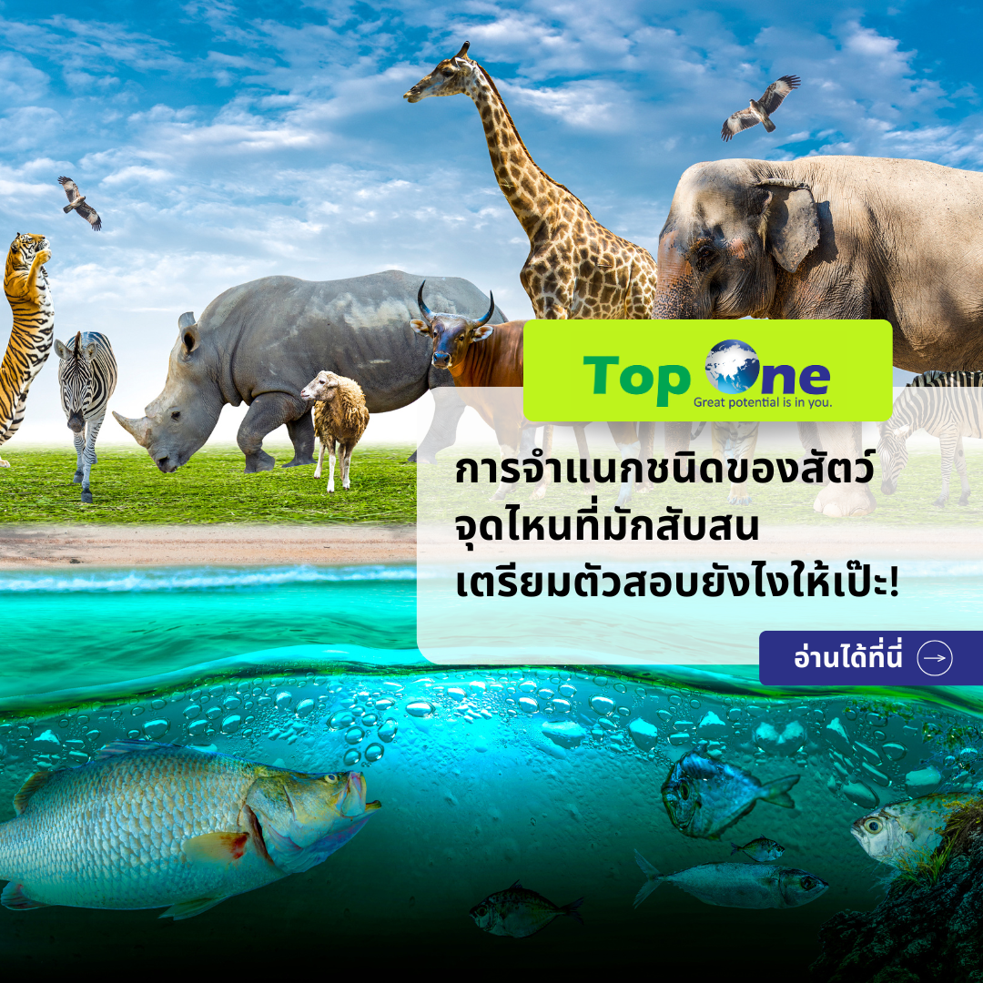 การจำแนกชนิดของสัตว์: จุดไหนที่มักสับสน เตรียมตัวสอบยังไงให้เป๊ะ!